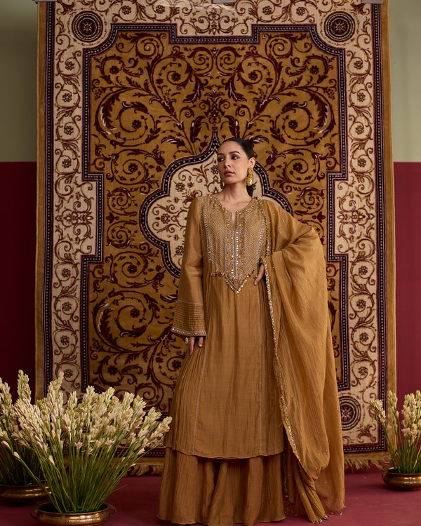 Brown hand embroidered chanderi silk suit set
