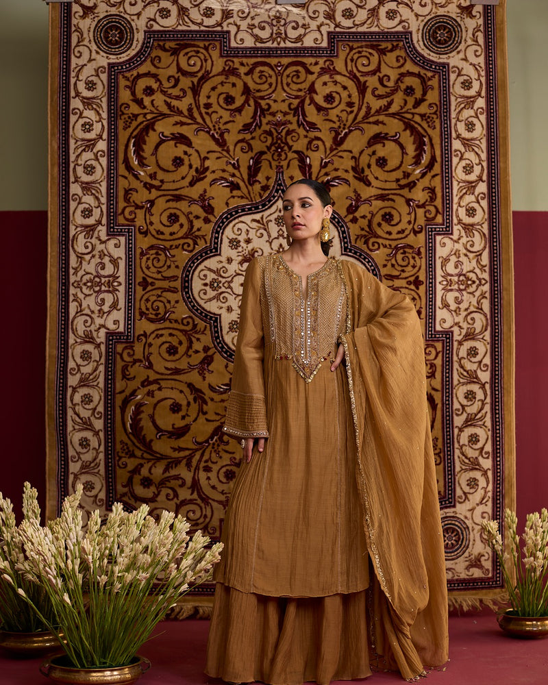 Brown hand embroidered chanderi silk suit set