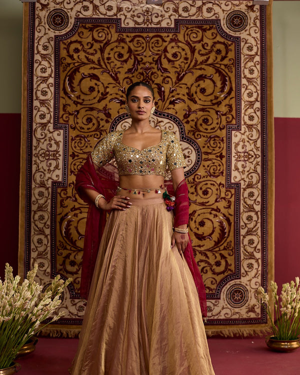Gold tissue hand embroidered lehnga set