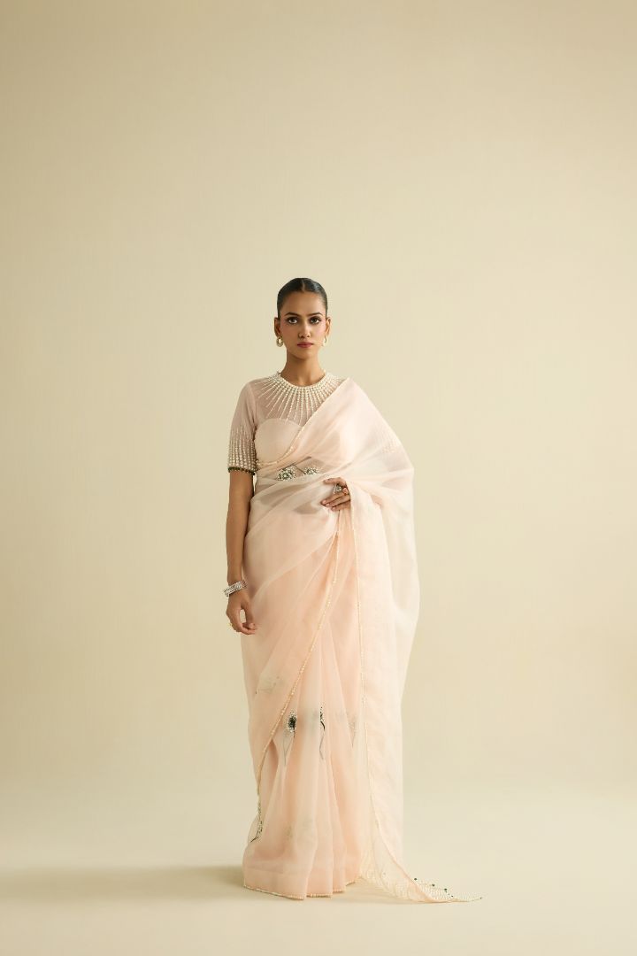 Pink hand embroidered organza saree set