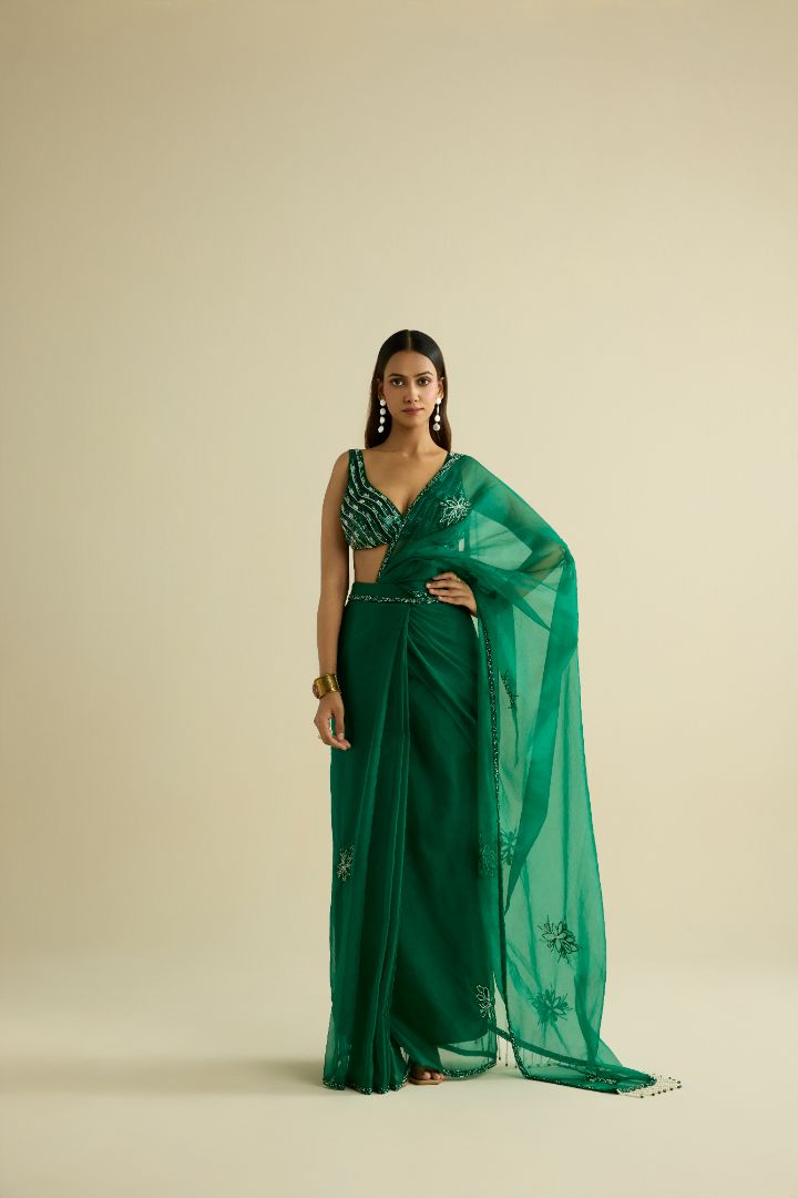 Green hand embroidered organza saree set
