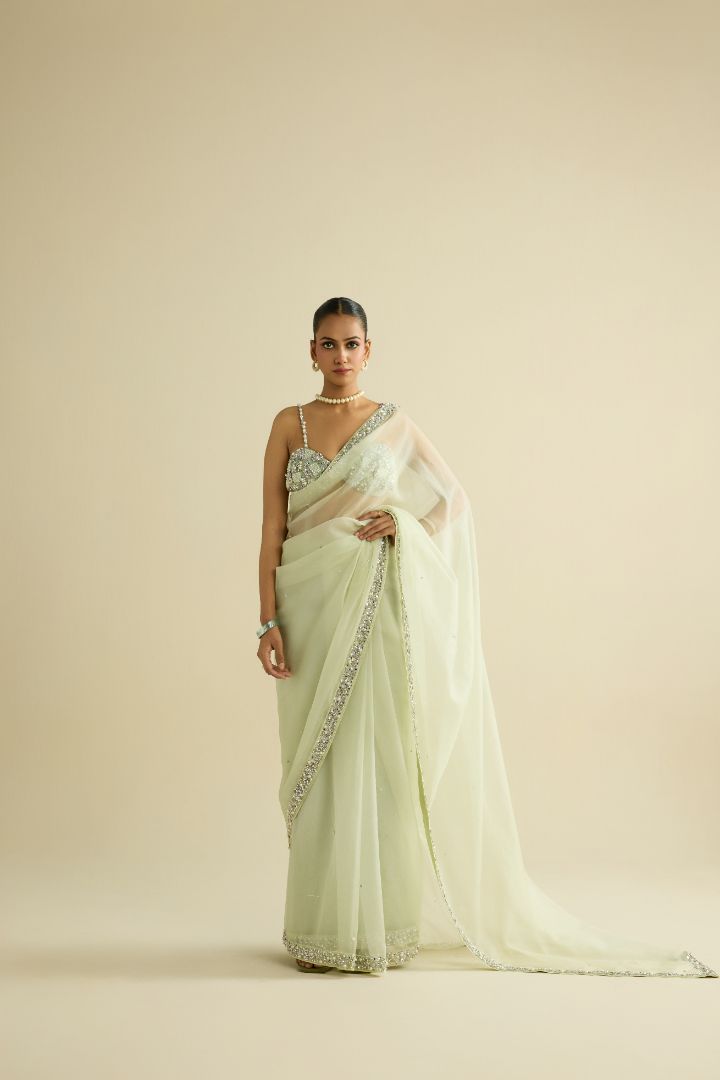 Sage green hand embroidered organza saree set