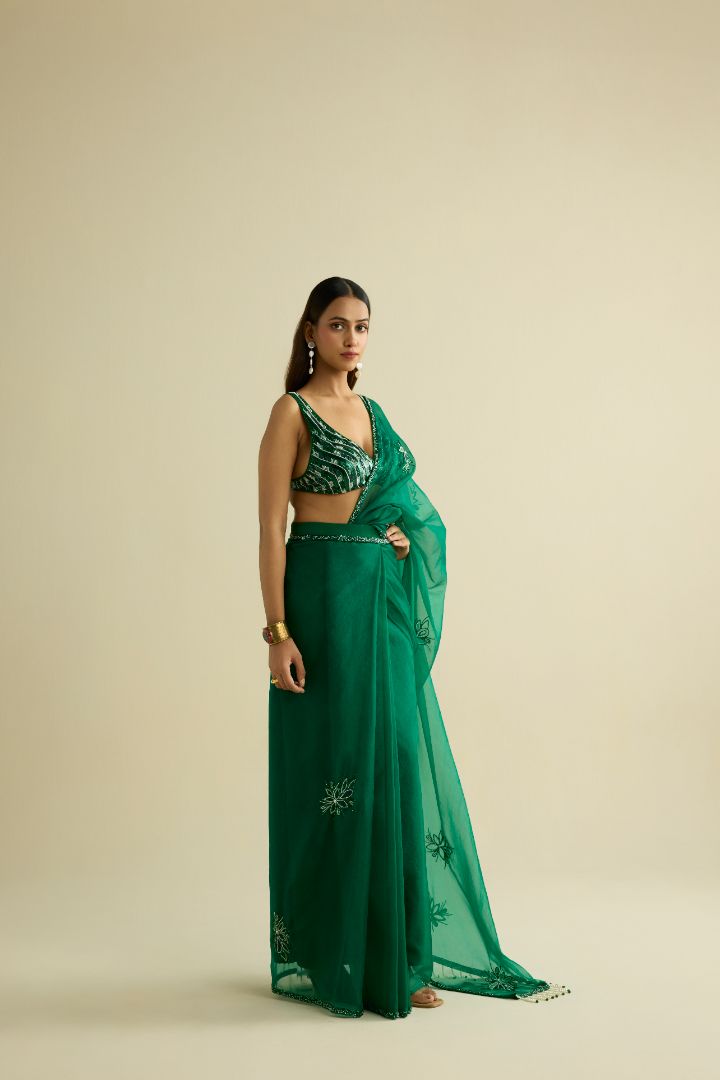 Green hand embroidered organza saree set