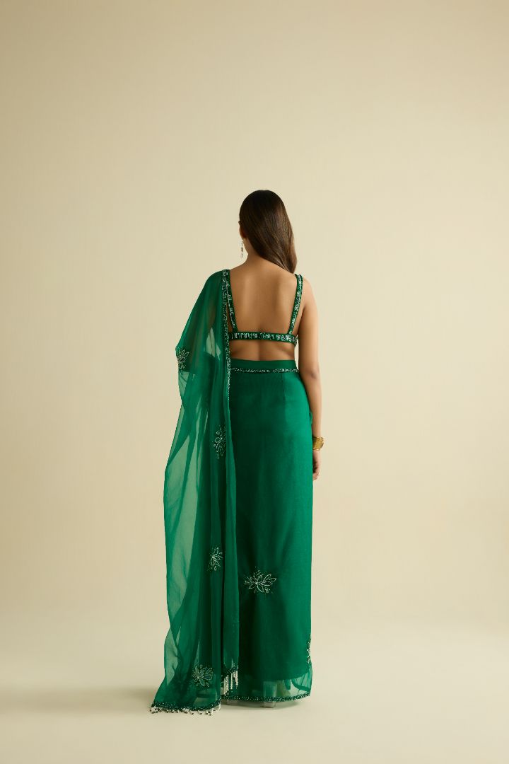 Green hand embroidered organza saree set