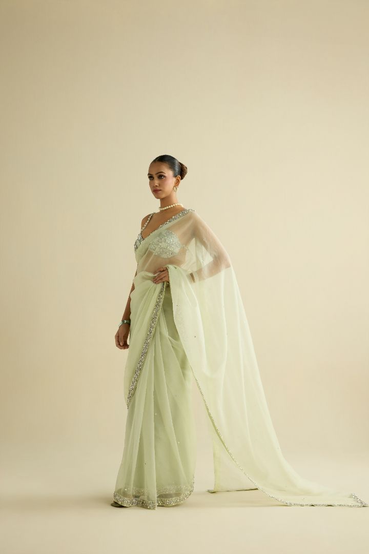 Sage green hand embroidered organza saree set