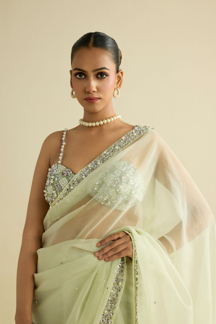 Sage green hand embroidered organza saree set