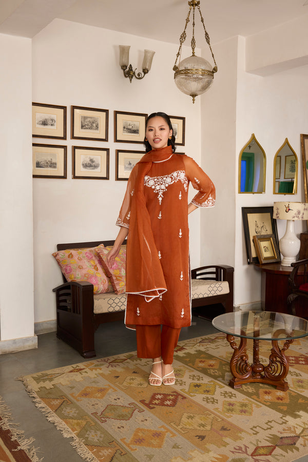 Brown Embroidered organza Suit with Organza Dupatta-Set of 3