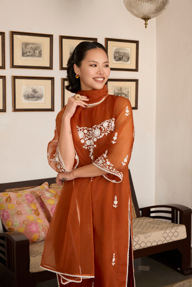 Brown Embroidered organza Suit with Organza Dupatta-Set of 3