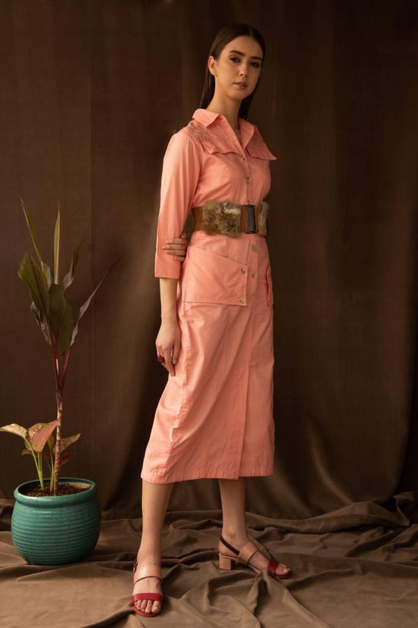 Ashlin shirt dress