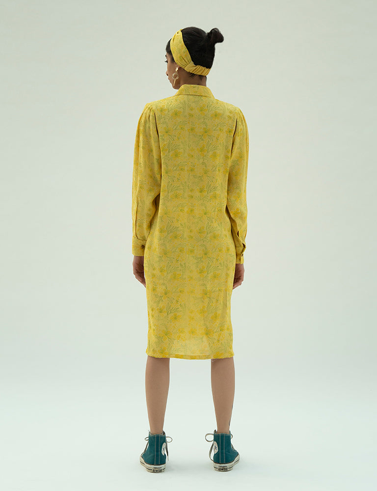 Anonymous dress