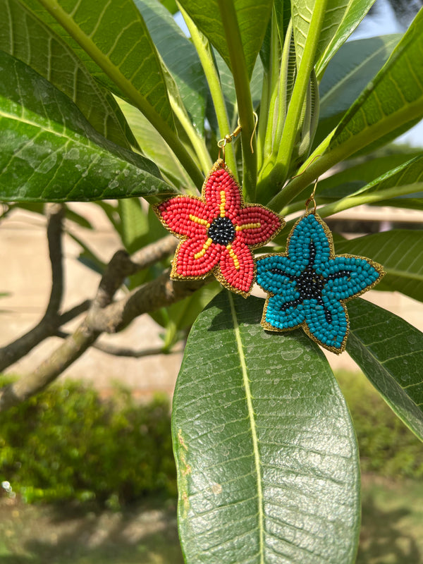 Starfish Earrings
