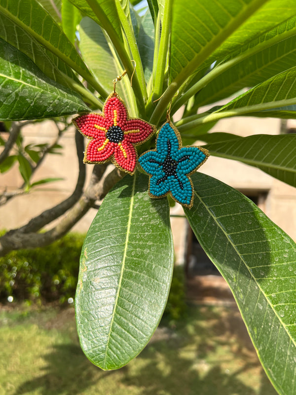 Starfish Earrings