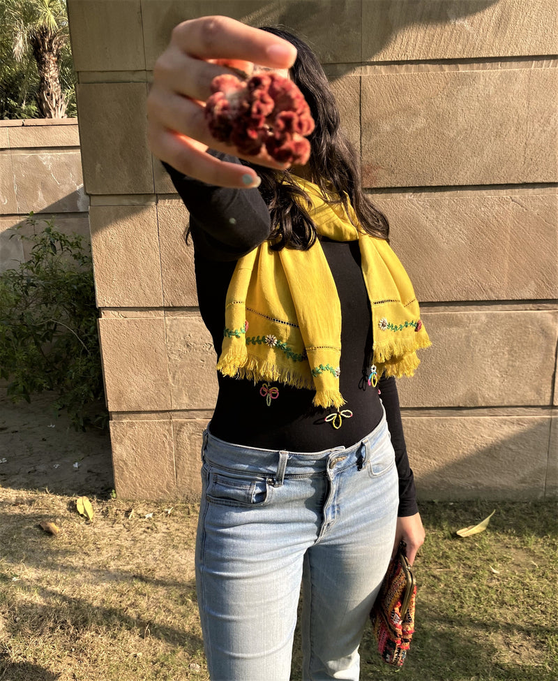 Vasant~Bhanwara Scarf