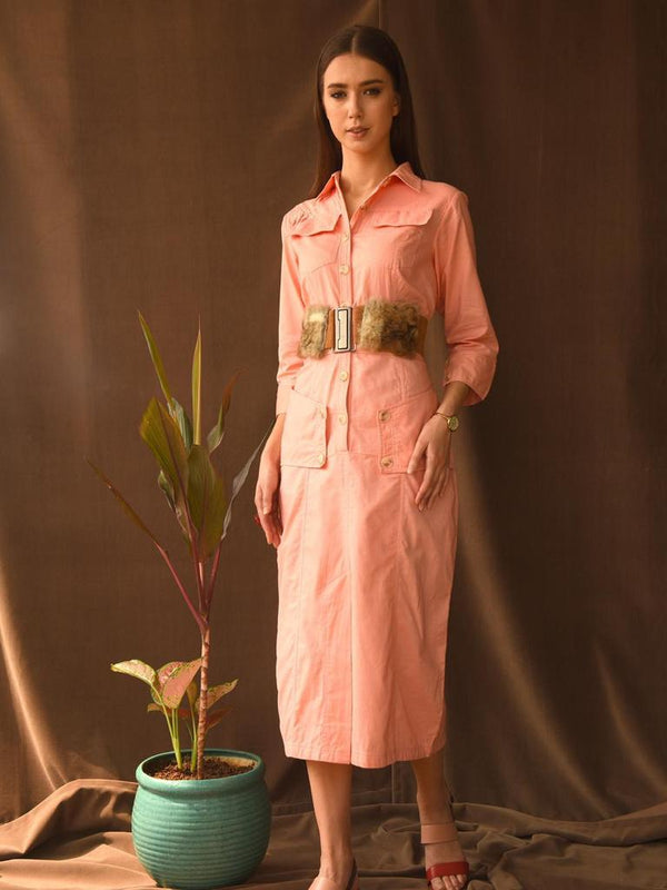 Ashlin shirt dress