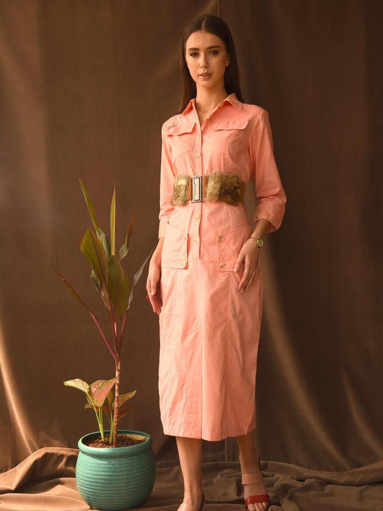 Ashlin shirt dress